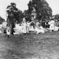 NSW Dumaresq Convention  Cleanup