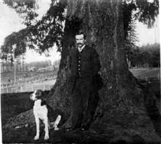 Jamieson, William R. (1905) 