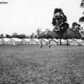 NSW Guildford 3   -