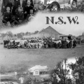 NSW Collage