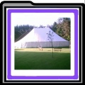 Thumb Memory Lane -