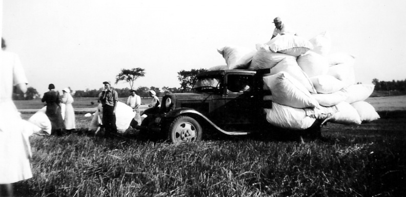 MI Carsonville -truck  