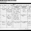 Archibald Irvine-Birth Record   